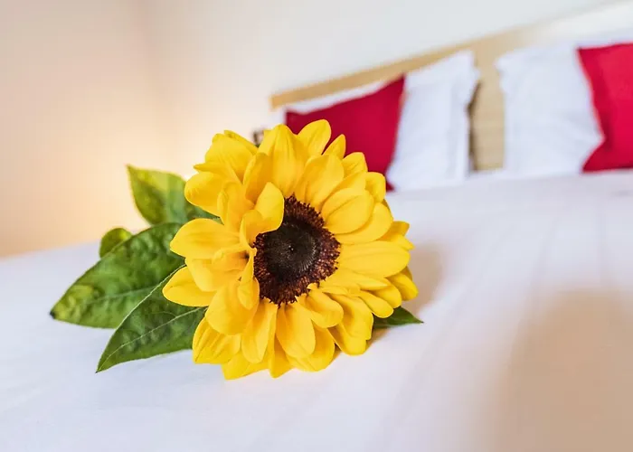 Apart-hotel Nuove Terme